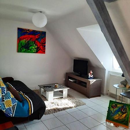 Appartement Spacieux A Ingersheim Avec Vue Sur Jardin 100 M² Bagian luar foto