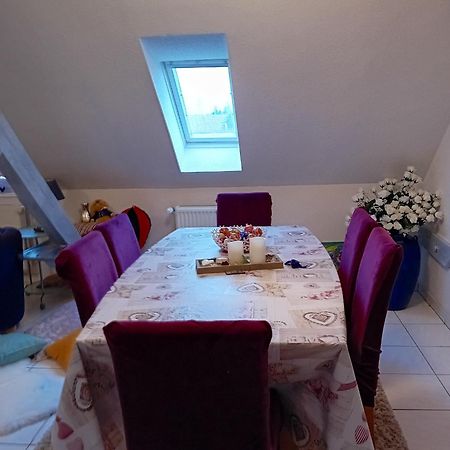 Appartement Spacieux A Ingersheim Avec Vue Sur Jardin 100 M² Bagian luar foto