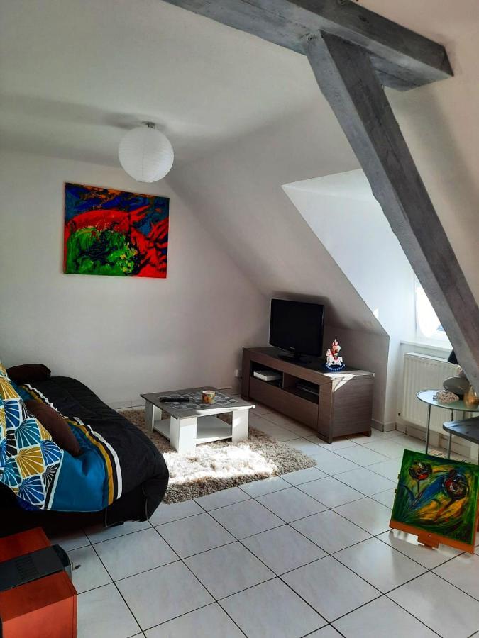 Appartement Spacieux A Ingersheim Avec Vue Sur Jardin 100 M² Bagian luar foto