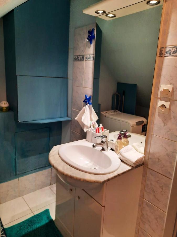 Appartement Spacieux A Ingersheim Avec Vue Sur Jardin 100 M² Bagian luar foto