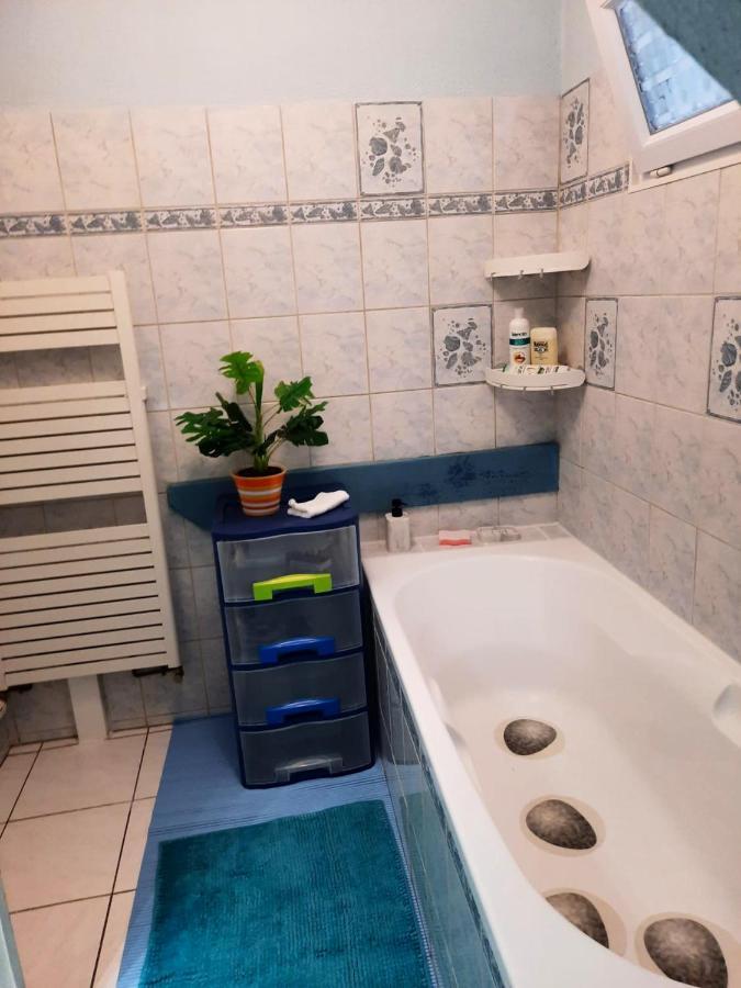 Appartement Spacieux A Ingersheim Avec Vue Sur Jardin 100 M² Bagian luar foto