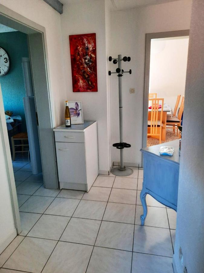 Appartement Spacieux A Ingersheim Avec Vue Sur Jardin 100 M² Bagian luar foto